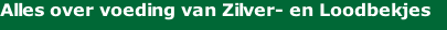 Alles over voeding van Zilver- en Loodbekjes