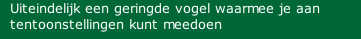 Uiteindelijk een geringde vogel waarmee je aan tentoonstellingen kunt meedoen