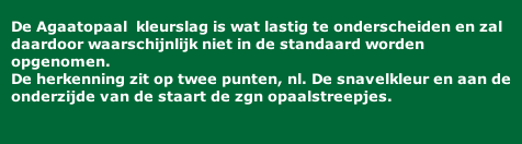 De Agaatopaal  kleurslag is wat lastig te onderscheiden en zal daardoor waarschijnlijk niet in de standaard worden opgenomen. De herkenning zit op twee punten, nl. De snavelkleur en aan de onderzijde van de staart de zgn opaalstreepjes.
